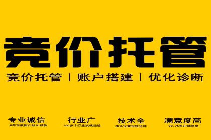 SEM托管服务在汽车销售中的策略与效果